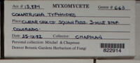 Image Associated With the Occurence